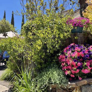 Si Casa Flores - View from our table - Mexican Near Me - Grants Pass, Oregon Si Casa Flores - View from our table - Mexican Near Me - Grants Pass, Oregon