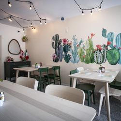 Cactus Cocina Mexicana