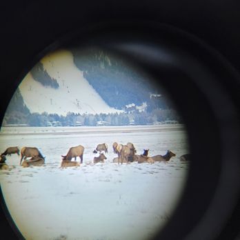 National Elk Refuge Sleigh Rides - Parks Near Me - Jackson, Wyoming National Elk Refuge Sleigh Rides - Parks Near Me - Jackson, Wyoming