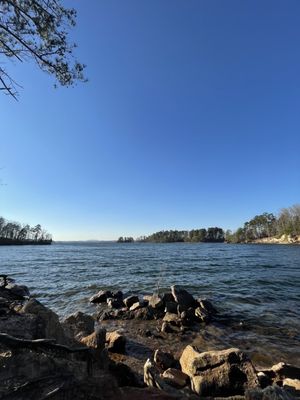 Lake Lanier Georgia Map With Data & Fish Species