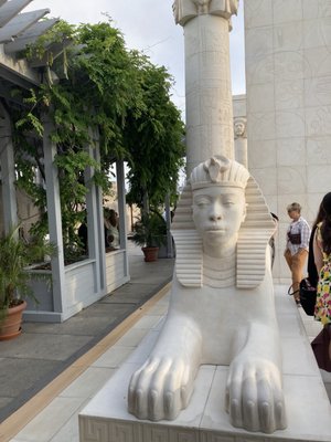 The Cantor Roof Garden Bar by null