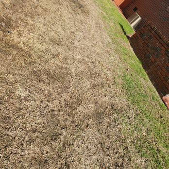 SpringGreen - a patch of dead grass and a brick building - Tree Services Near Me - Fayetteville, North Carolina SpringGreen - a patch of dead grass and a brick building - Tree Services Near Me - Fayetteville, North Carolina