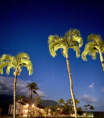 Hanalei Bay Resort by null