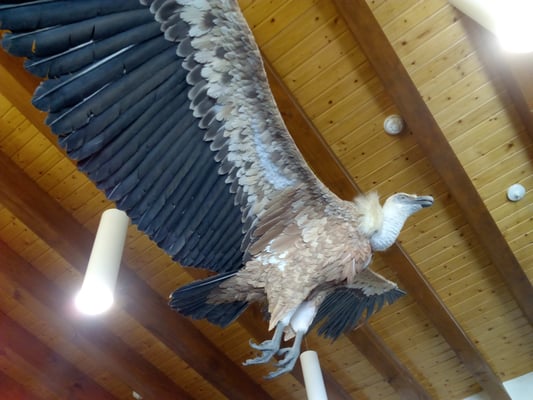 Bardenas Reales by null