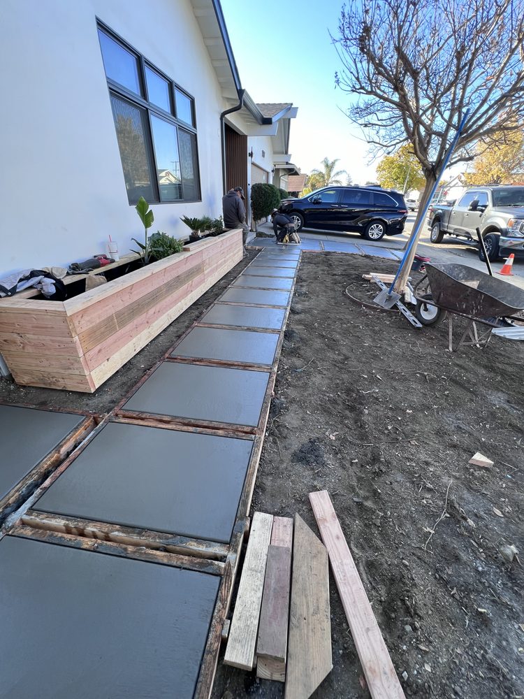 Bay Bloom - tree service in Arden-Arcade, CA