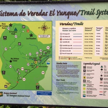 El Yunque Rainforest - The trail map - Hiking Near Me - Luquillo, Puerto Rico El Yunque Rainforest - The trail map - Hiking Near Me - Luquillo, Puerto Rico
