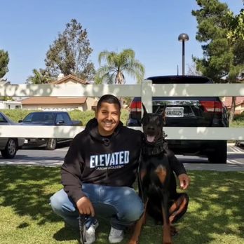 Elevated Canine Academy - ECA trainer Mark - Pet Training Near Me Elevated Canine Academy - ECA trainer Mark - Pet Training Near Me