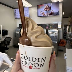 Golden Spoon Frozen Yogurt