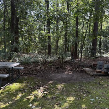 Aaron's Junk Removal - Junk Removal & Hauling Near Me - Fremont, North Carolina Aaron's Junk Removal - Junk Removal & Hauling Near Me - Fremont, North Carolina