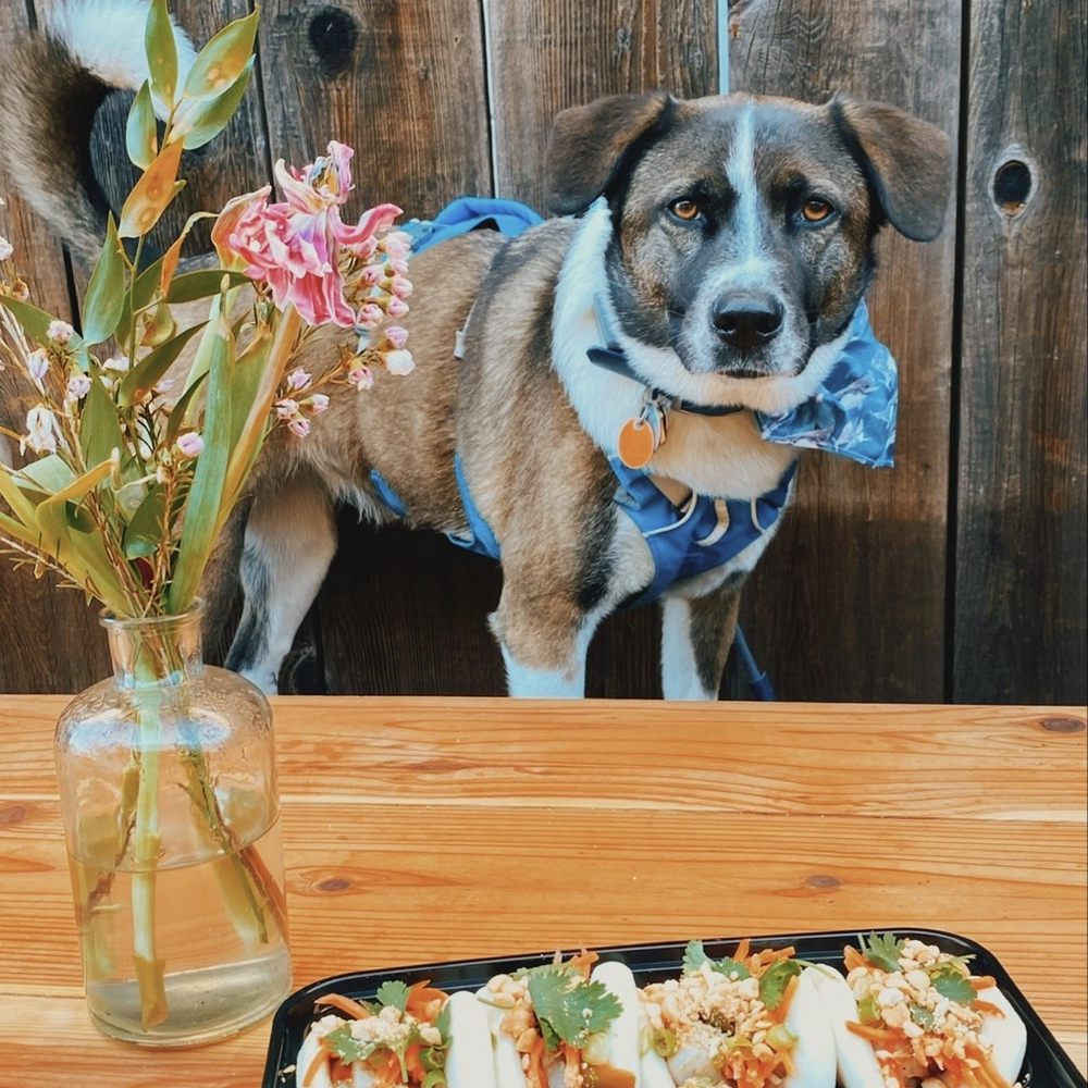 Cali Alley - Comfort Food Near Me - Berkeley, California