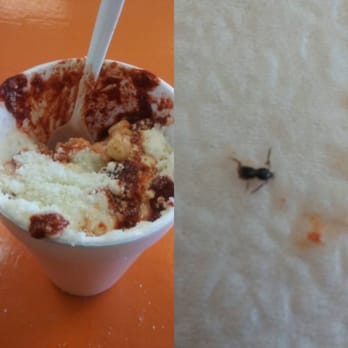 Hay Elotes - I was looking forward to feeding my corn in a cup craving and stopped at Hay Elotes on Howard Ln. started mixing my corn and found a BUG! - Desserts Near Me - Austin, Texas Hay Elotes - I was looking forward to feeding my corn in a cup craving and stopped at Hay Elotes on Howard Ln. started mixing my corn and found a BUG! - Desserts Near Me - Austin, Texas
