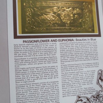 Grasons Co Long Beach Metro - Silver, gold coins and collection of gold plated money sold! - Estate Liquidation Near Me - Long Beach, California Grasons Co Long Beach Metro - Silver, gold coins and collection of gold plated money sold! - Estate Liquidation Near Me - Long Beach, California