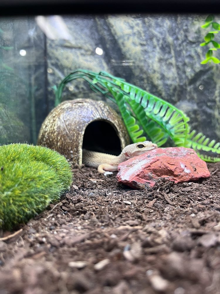 Beverly's Pet Center Image