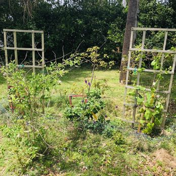Degroff Park - Butterfly garden - Parks Near Me - Lighthouse Point, Florida