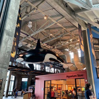 Monterey Bay Aquarium - Aquariums Near Me - Monterey, California Monterey Bay Aquarium - Aquariums Near Me - Monterey, California