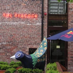 The Peacock
