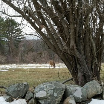 Ipswich River Wildlife Sanctuary - Parks Near Me - Topsfield, Massachusetts