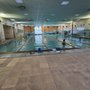 Photo of Flying Fish Swimming School