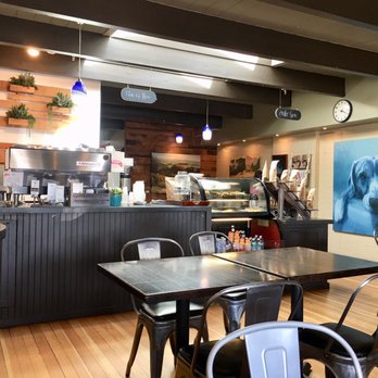 Blue Beagle Coffee - The fantastic blue beagle picture. - Desserts Near Me - Larkfield-Wikiup, California