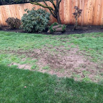 True Depth Services - Landscaping Near Me True Depth Services - Landscaping Near Me