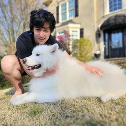 Paws Pet Salon