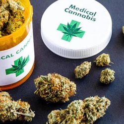 Sticky Bud Farms - Cannabis dispensary