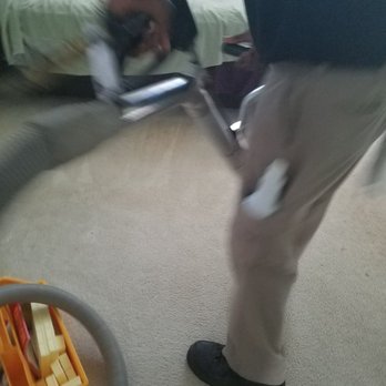 Oxi Fresh Carpet Cleaning - Stanley steemers guy going over floor Tuesday 25 July 2017 - Carpet Cleaning Near Me