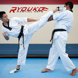 Ryouko Martial Arts - Taekwondo black belt training