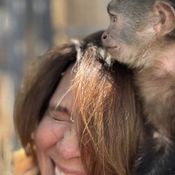 Conservation Ambassadors - Zoo to You