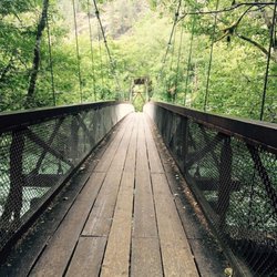 BA Travel - Washington nature walk