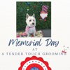 A Tender Touch Grooming gift card