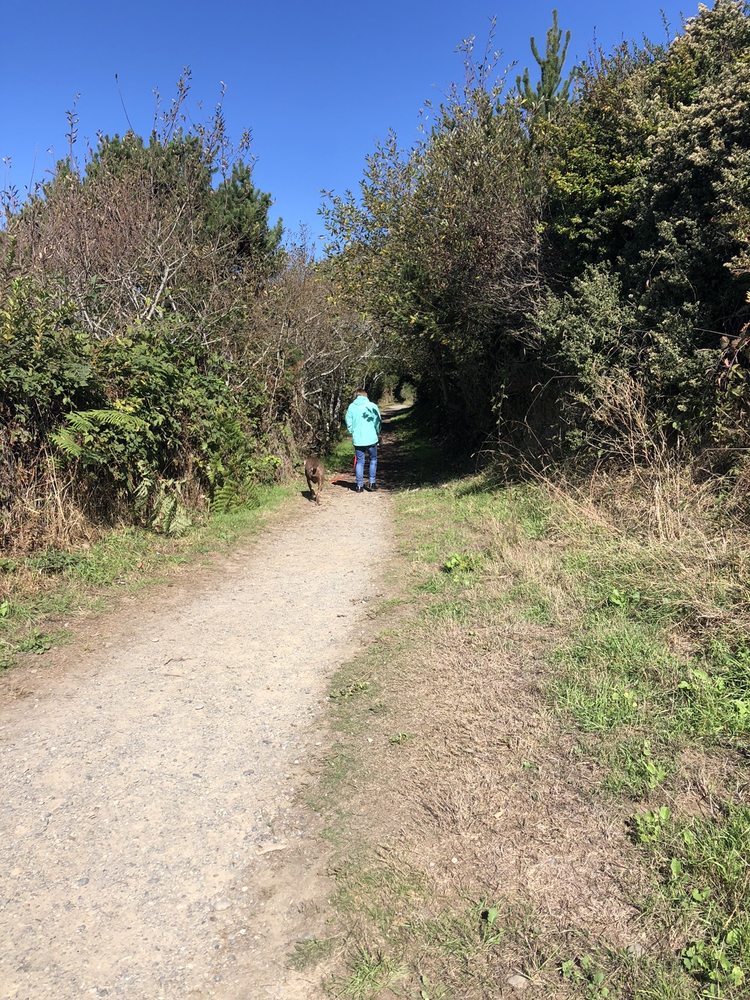 PINE COVE RV PARK Updated June 2024 9435 Trinity Dam Blvd, Lewiston