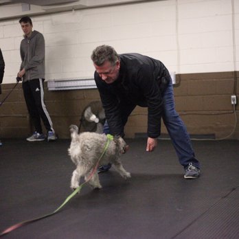 Canine Campus - Motivational recalls - they work every time! - Pet Training Near Me - Markham, Ontario Canine Campus - Motivational recalls - they work every time! - Pet Training Near Me - Markham, Ontario