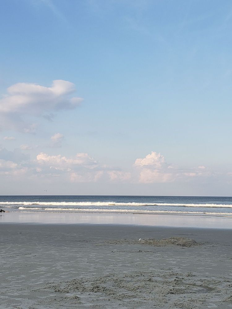 DAYTONA BEACH OCEAN RENTALS Updated September 2024 2301 S Atlantic