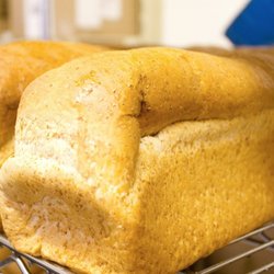 Fox's Bakery And Delicatessen