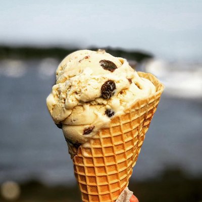 Wild Cow Creamery by null