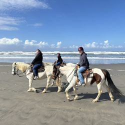 Long Beach Horse Rides