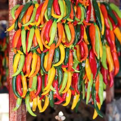 Blue Rooster Home & Garden - Famous ceramic chiles!