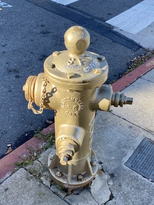 The Golden Fire Hydrant by null