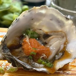 Oyster Oyster