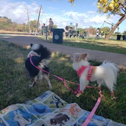 Park time!