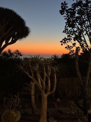 San Diego Botanic Garden by null