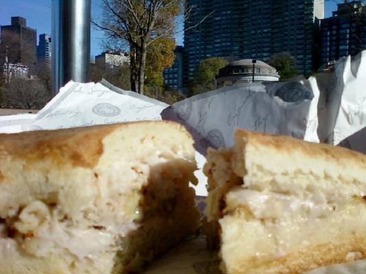 Earl of Sandwich by null