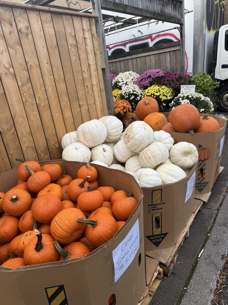 Young's Produce Logo