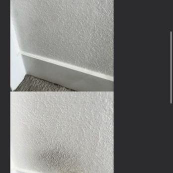 Elite Clean Freaks - Wall stains from cat that were removed by cleaner - Home Cleaning Near Me Elite Clean Freaks - Wall stains from cat that were removed by cleaner - Home Cleaning Near Me