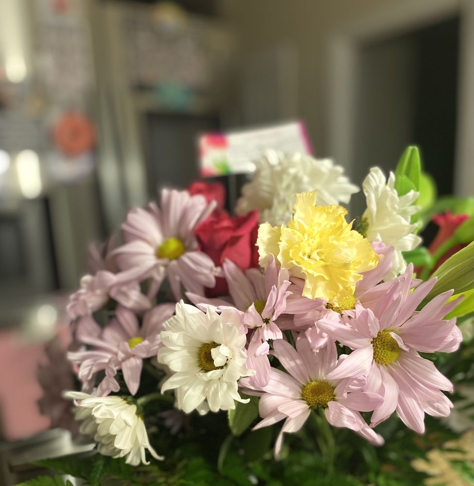 TREELAND FLORIST AND GREENHOUSES Updated October 2024 16 Photos