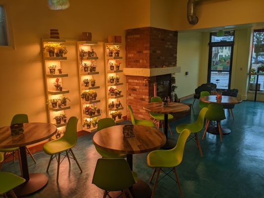 Queer Plants Cafe by null