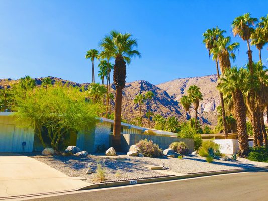 Palm Springs Mod Squad (Architecture Tours) by null