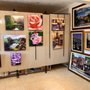 Photo of Joanne Robinson Art