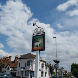 The Royal Stag - Sign